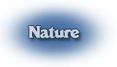 nature sarde